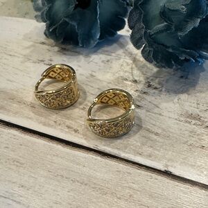 Elegant Gold Hoop Earrings